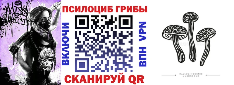 как найти   Маркс  Галлюциногенные грибы GOLDEN TEACHER 